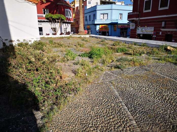 Estado de la parte trasera del inmueble (Foto TA)